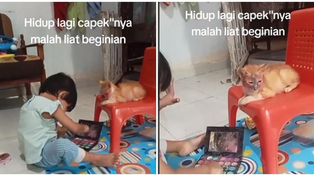 Momen Kucing Didandani Anak Kecil Ini Bikin Gemas, Pasrah Banget