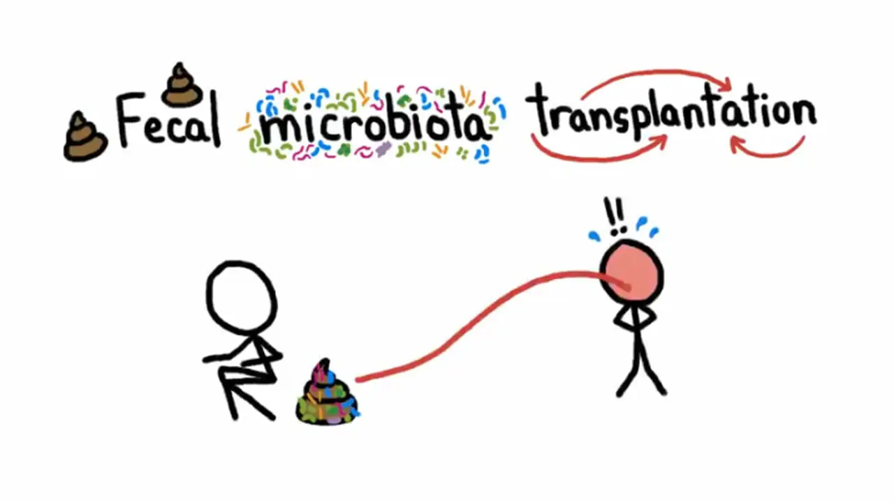 Fecal Microbiota Transplantation (FMT)