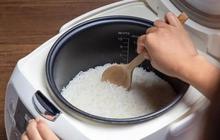 Cara Memasak Nasi Beras Pulen agar Tidak Lembek dan Menggumpal
