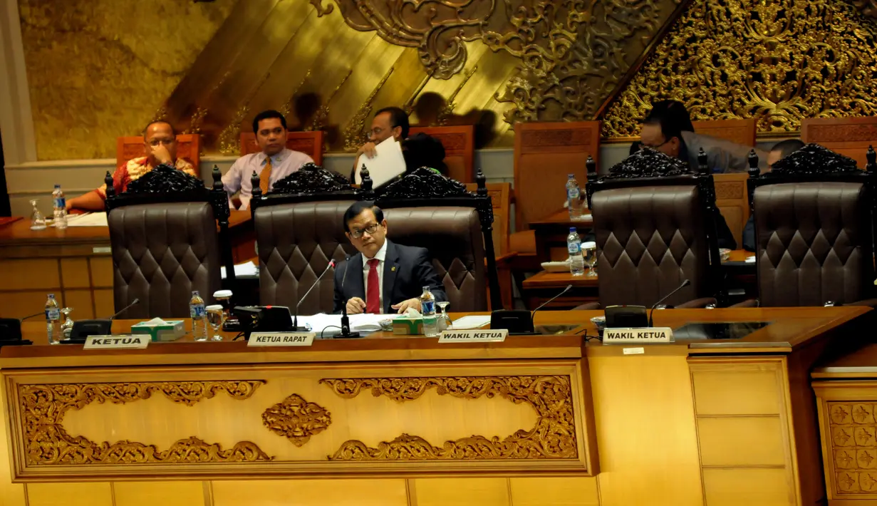 Wakil Ketua DPR RI Pramono Anung (Liputan6.com/Helmi Fithriansyah).