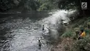Sejumlah anak bermain di Sungai Ciliwung, Depok, Jawa Barat, Kamis (4/7/2019). Menurunnya debit air Sungai Ciliwung akibat musim kemarau dimanfaatkan warga setempat sebagai tempat wisata gratis untuk mengajak anak berenang. (merdeka.com/Iqbal Nugroho)