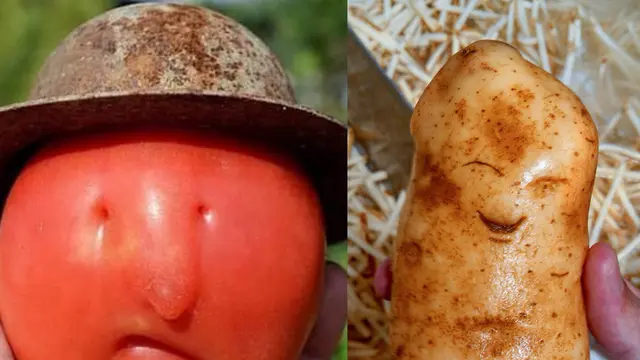 Bikin Takjub, 10 Potret Sayur dan Buah Membentuk Wajah yang Lucu
