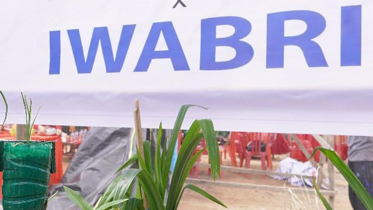 Warga Tuminting & BRI Ubah Lahan Timbunan Sampah Jadi Lahan Urban Farming 'BRInita