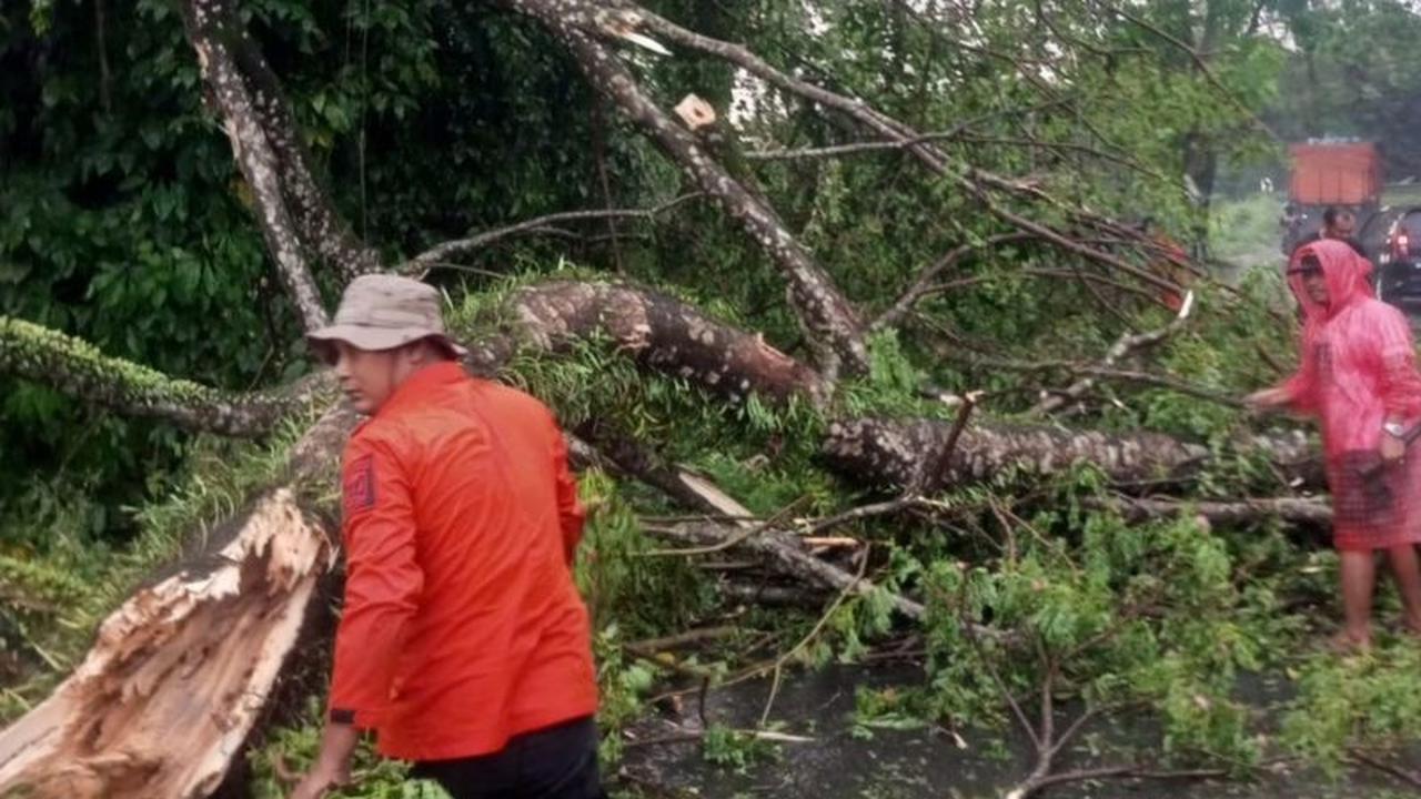 Dampak Cuaca Ekstrem Binjai Meluas, BNPB Laporkan Kerusakan di Lima Kecamatan