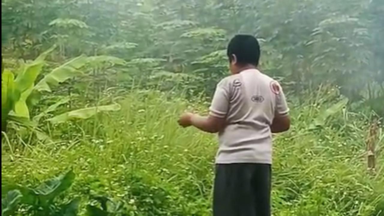 Heboh Bocah di Kabupaten Bandung Barat Hobi Makan Daun dan Rumput, Sosoknya Anak Istimewa