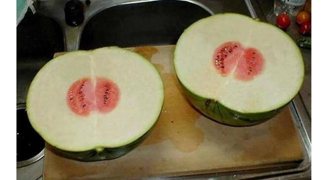 6 Momen Apes saat Mau Makan Semangka Ini Bikin Geregetan