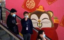 Hong Kong Perketat Pemerikaan Kesehatan Imbas Wabah Penyakit Misterius di Kongo