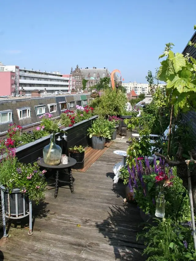 Desain Taman Atap Rumah Lantai Kayu