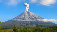 Gunung Semeru merupakan gunung tertinggi di Pulau Jawa, dengan puncaknya Mahameru, 3.676 meter dari permukaan laut (mdpl). Gunung Semeru terletak di Kabupaten Malang dan Kabupaten Lumajang, di Jawa Timur kini berstatus waspada. (Istimewa)