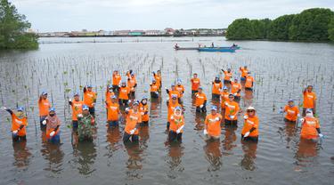 PT Pupuk Kalimantan Timur (PKT) gelar penanaman 1.500 bibit mangrove