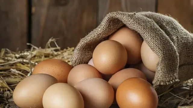 Telur. (foto: Pinterest).