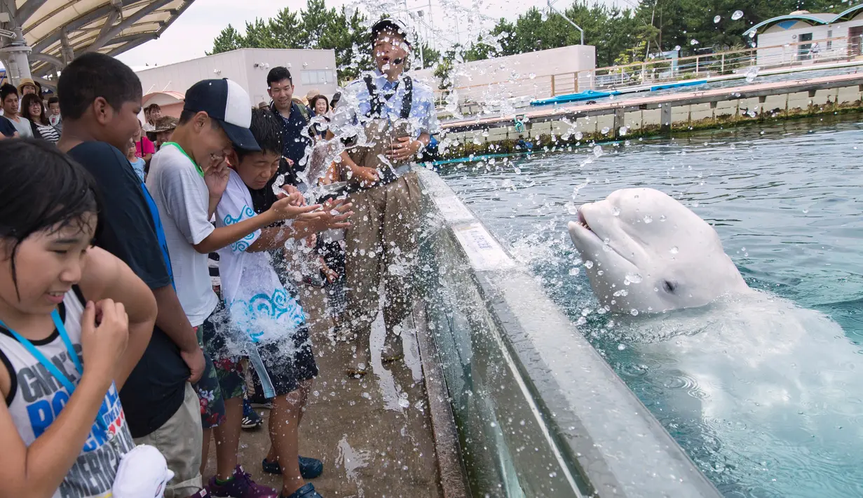 Ekspresi sejumlah pengunjung saat di semprotkan air oleh beluga dalam atraksi musim panas di akuarium Laut Paradise Hakkeijima di Yokohama, Tokyo (16/7). (AFP Photo/Kazuhironogi)