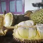 Penampakan durian bawor khas Alasmalang, Banyumas. Berdaging tebal, manis, legit dan beraroma kuat. (Foto: Liputan6.com/Muhamad Ridlo)