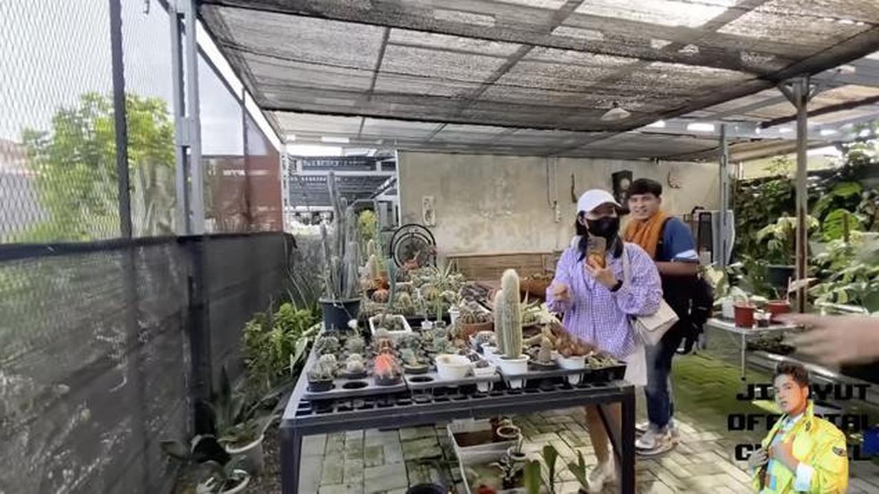 Potret Halaman Belakang Rumah Soimah di Jogja/Youtube/Jirayut Official Channel