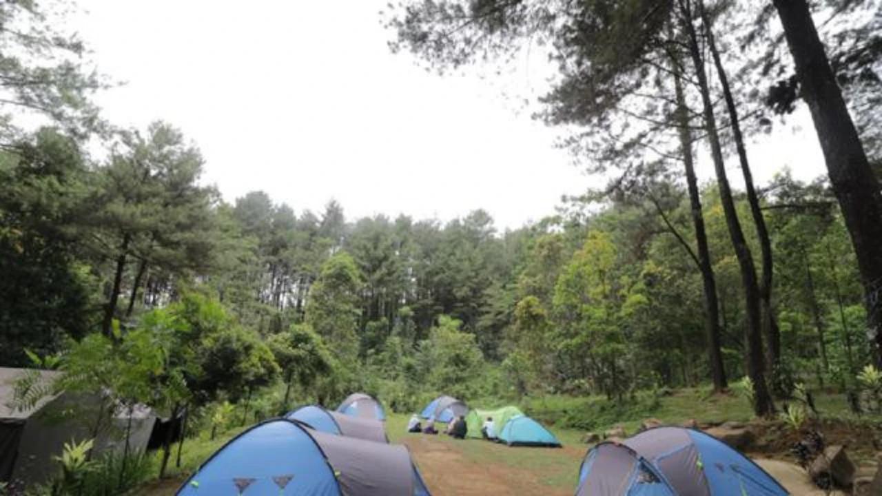 Tempat Liburan Murah, Ini Rekomendasi Camping di Bogor Mulai Rp15 Ribu