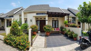 16 Tanaman Berbunga yang Tahan Panas untuk Teras Depan Rumah, Mudah Dirawat
