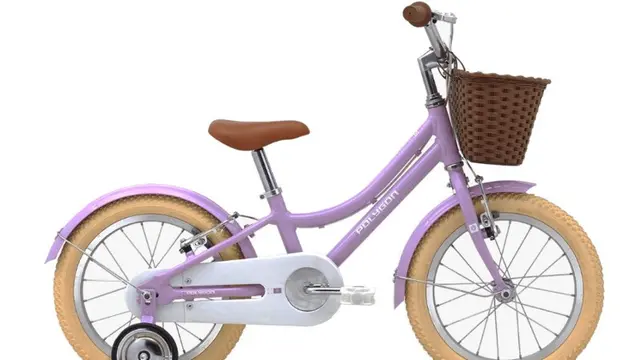 Polygon Alice 16"