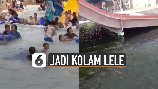 Berita Kolam Renang Hari Ini Kabar Terbaru Terkini Liputan6 Com