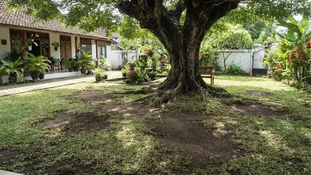 Tempat di Mana Rumput Tidak Akan Tumbuh