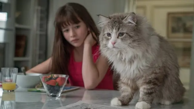 Nine Lives (2016)