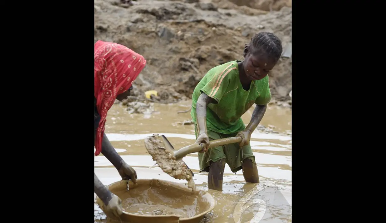 Tak kenal lelah. Para bocah ini menghabiskan waktunya untuk mencari butiran emas. Sekolah dan bermain adalah mimpi. Bagi mereka yang terpenting adalah sepotong roti untuk bisa makan hari ini (AFP PHOTO / ISSOUF SANOGO)