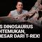 Spesies baru dinosaurus yang lebih besar dari T-Rex telah ditemukan dan diberi nama Spinosaurus mirabilis. Karnivora raksasa ini hidup sekitar 95 juta tahun yang lalu. Fosil-fosil tersebut ditemukan jauh di pedalaman.