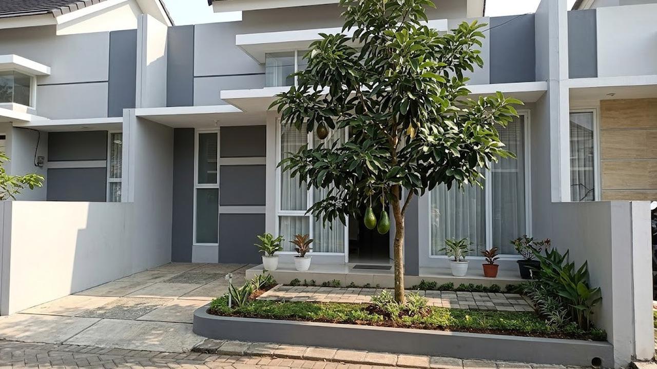 Alpukat Kelud