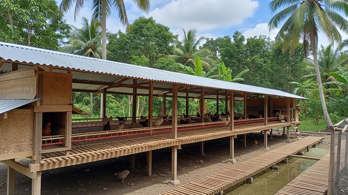 7 Model Kandang Ayam Anti Ular dan Banjir dengan Perlindungan Optimal