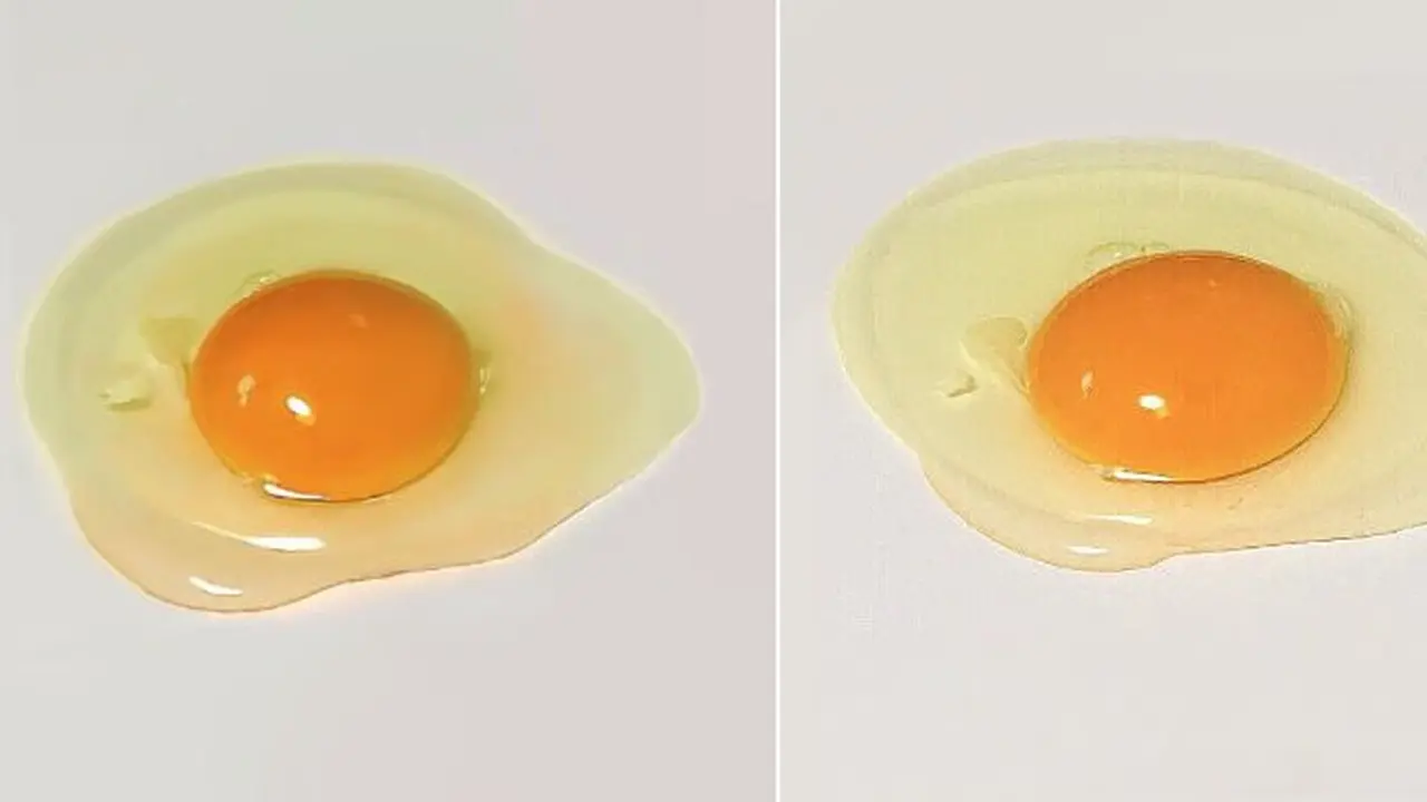 Telur Asli dan Lukisan. Bisakah Anda Bedakan Kedua Gambar di Bawah Ini?
