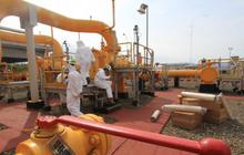 Pemerintah belum putuskan harga gas industri