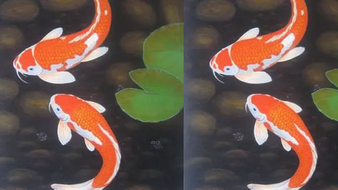 Arti Lukisan Feng Shui Ikan Part 3 Fimela Fimela Com