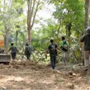 23 Perkara Kejahatan Kehutanan di Bukit Barisan dalam 10 Tahun