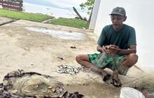 Nelayan Penyintas Mulai Menjala, Pemulihan Ekonomi Danau Singkarak Bergerak Bertahap