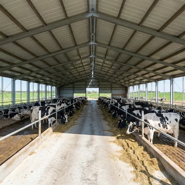 Kandang Sapi Open-Sided Barn / Open-Sided Shed