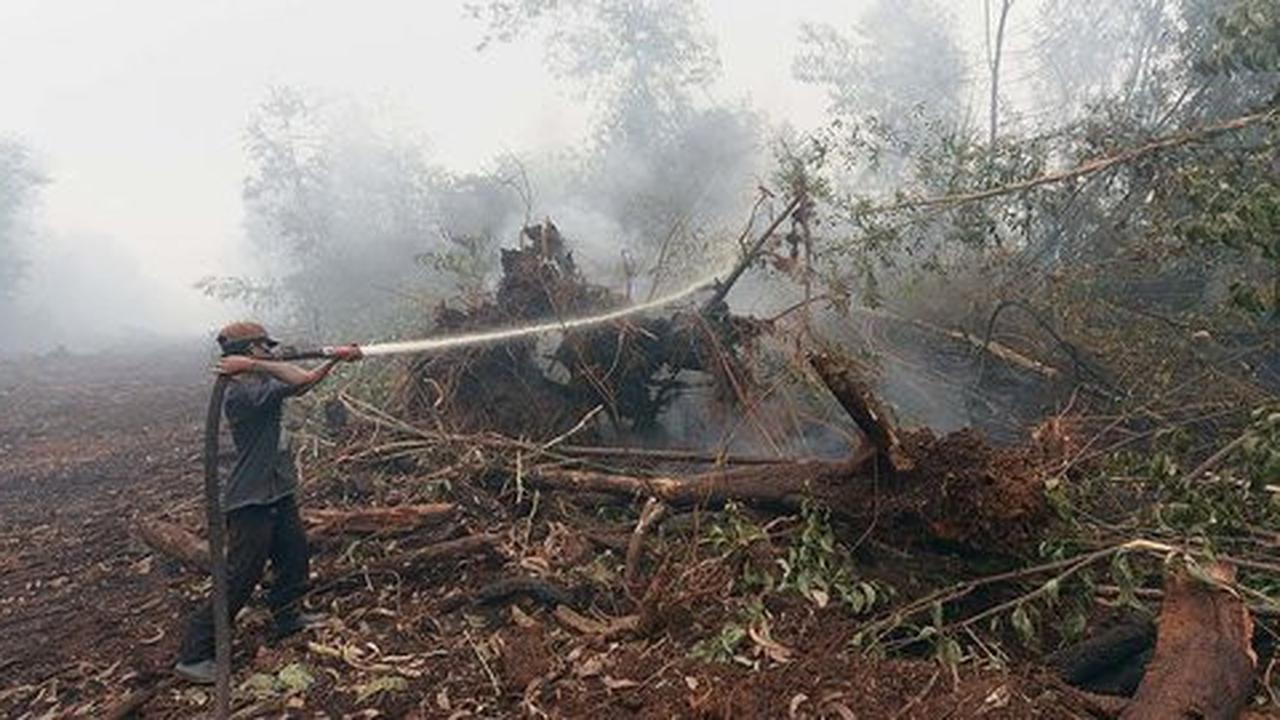Rp 500 miliar lebih uang negara sudah habis ditelan kabut asap