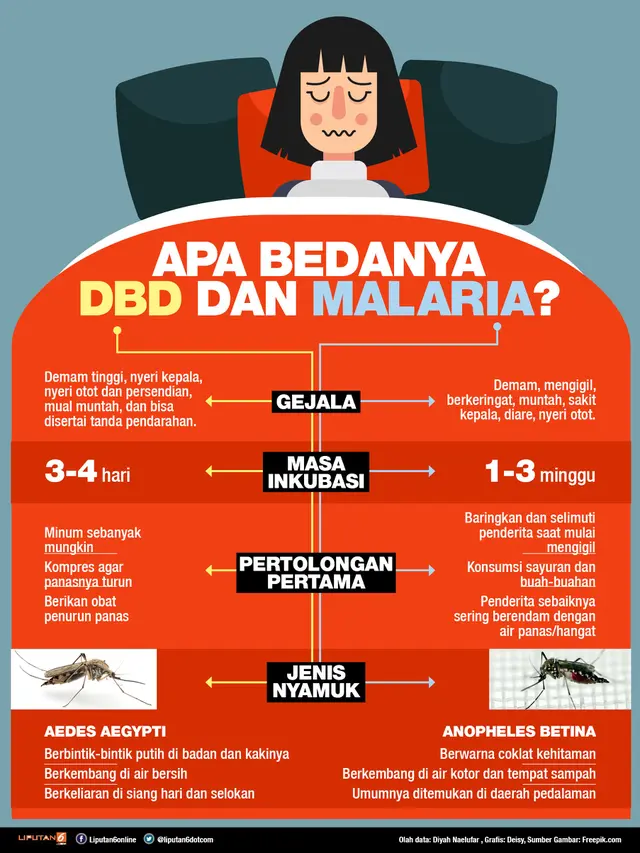 infografis beda DBD dan Malaria