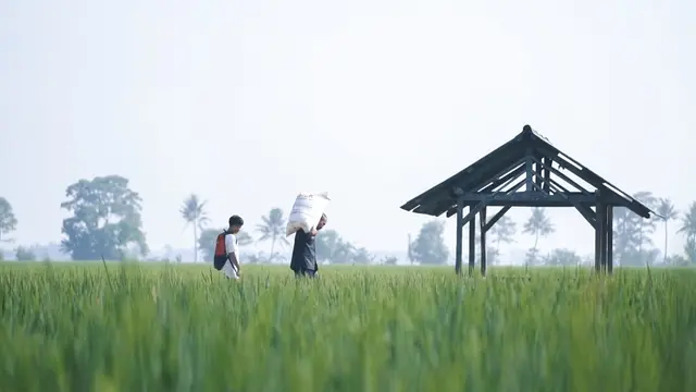 Atasi Keterbatasan Pupuk, Kementan Jalankan Strategi baru