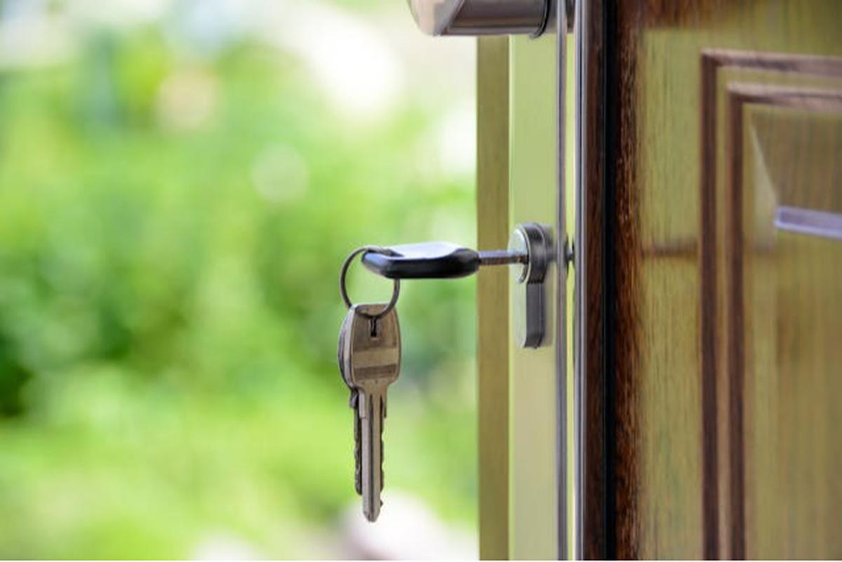 Tips Membuat Kucing Tetap Nyaman di Rumah Sendirian ketika Ditinggal Liburan