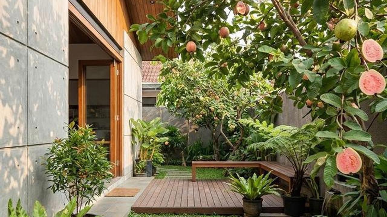 Buah Apa yang Cocok Ditanam di Halaman Belakang? Berikut 10 Tanaman Favorit Keluarga