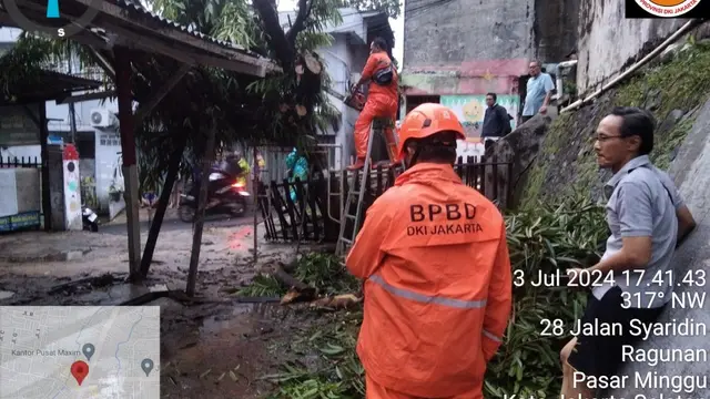 Pohon tumbang usai hujan deras di Jakarta, Rabu (3/7/2024).