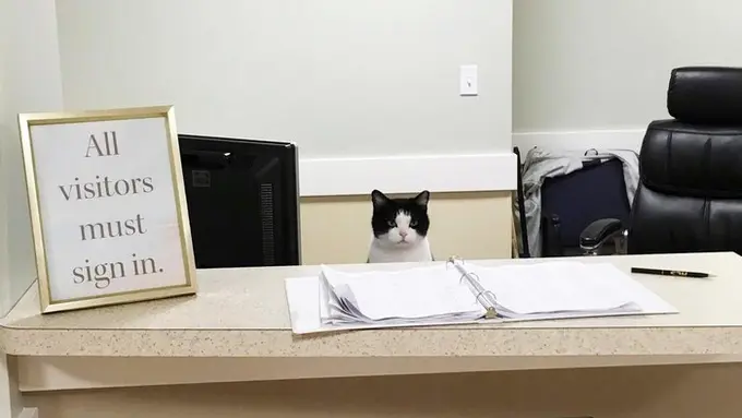 [Bintang] Tinggal di Panti Jompo, Kucing Ini Ikut Bekerja untuk Para Lansia