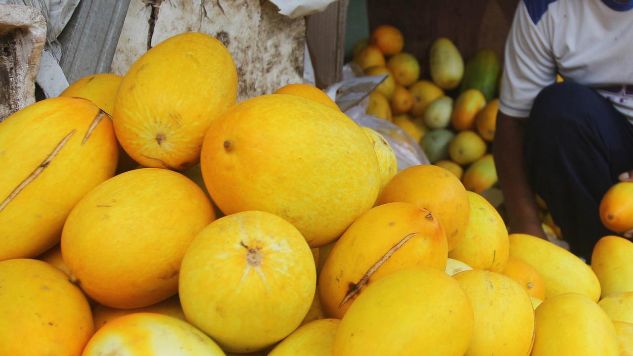 Ramadhan, Permintaan Buah Timun Suri Alami Peningkatan