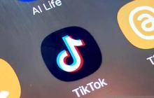 1,7 Juta Akun Anak di Indonesia Ditutup TikTok