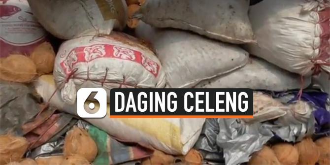 VIDEO: Penyelundupan Lima Ton Daging dan Kulit Celeng ke Jakarta