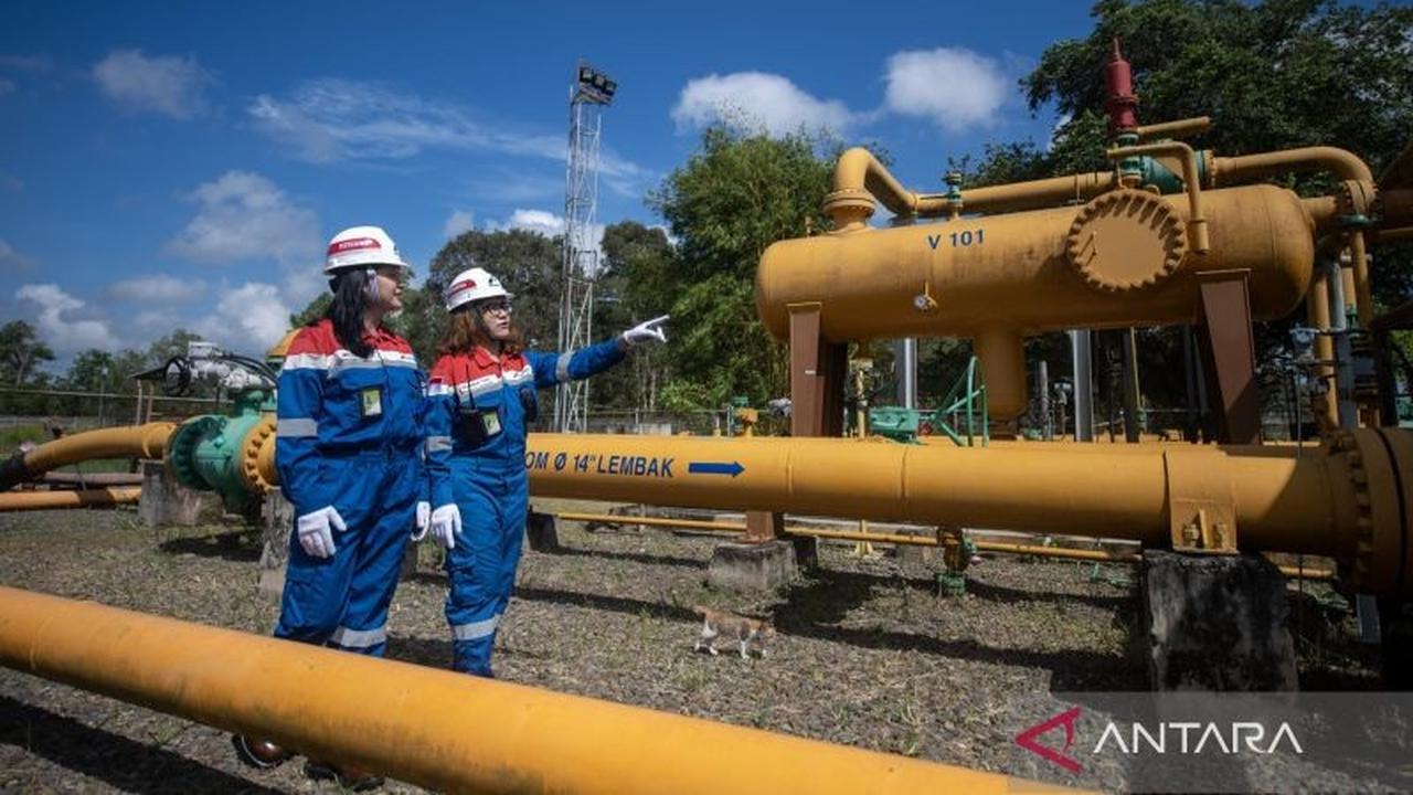 Fakta Unik: 8 Pabrik Pupuk Indonesia Berusia 30 Tahun Lebih, Revitalisasi Industri Pupuk Jadi Kunci Efisiensi Gas Rp1,5 T