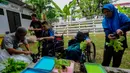 Kebun hidroponik ini juga menjadi sarana pembelajaran murid penyandang disabilitas. (merdeka.com/Arie Basuki)