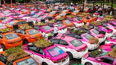 Kebun sayur terlihat di bagian atap taksi-taksi yang terbengkalai di pool taksi di Bangkok, Thailand, Rabu (15/9/2021). Pemilik perusahaan taksi membiarkan karyawannya menggunakan taksi-taksi yang tidak beroperasi itu untuk bercocok tanam guna memenuhi kebutuhan sehari-hari mereka. (Jack TAYLOR/AFP)