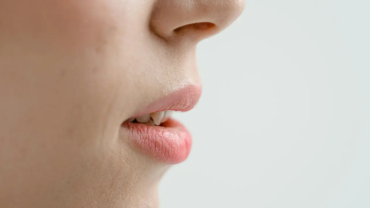 Bibir Kering