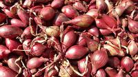 Bawang Dayak (Sumber: Pixabay)
