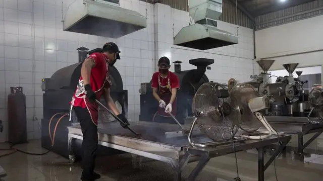 Bukan Kopi Luwak, Ini Dia Kopi Termahal di Indonesia